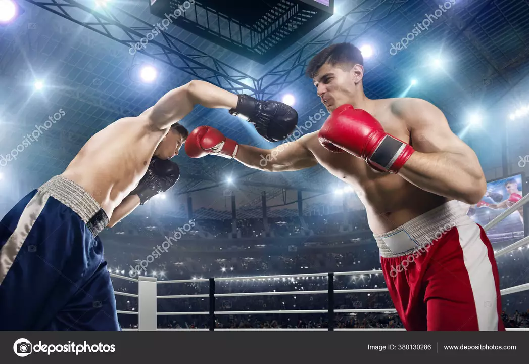 How do professional boxers get paid?